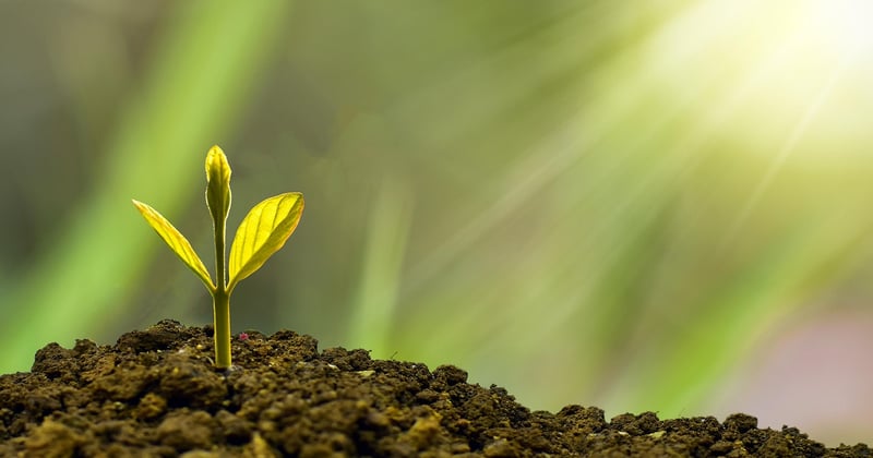 Virement permanent Crédit Agricole : le guide complet pour tout maîtriser