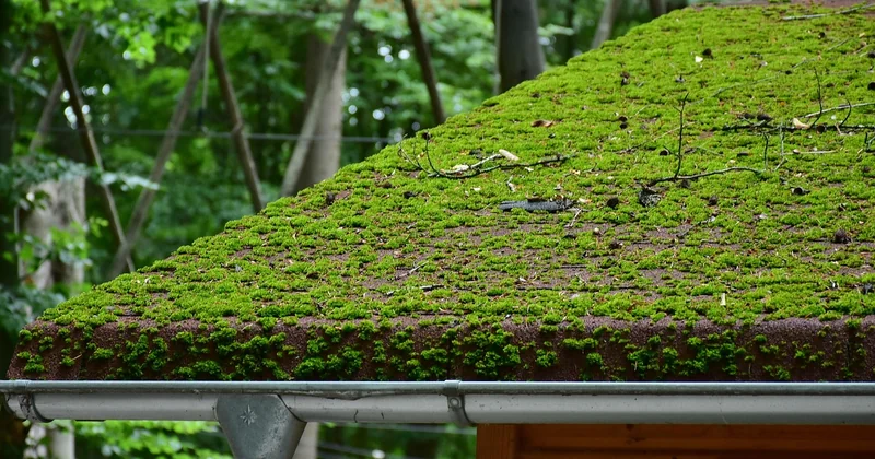 Matériaux adaptés au climat océanique nantais
