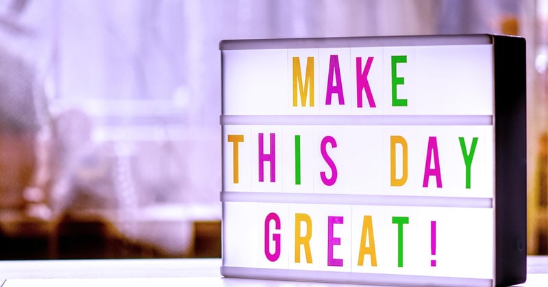Lettre de motivation stage vétérinaire 3ème : le guide complet pour convaincre