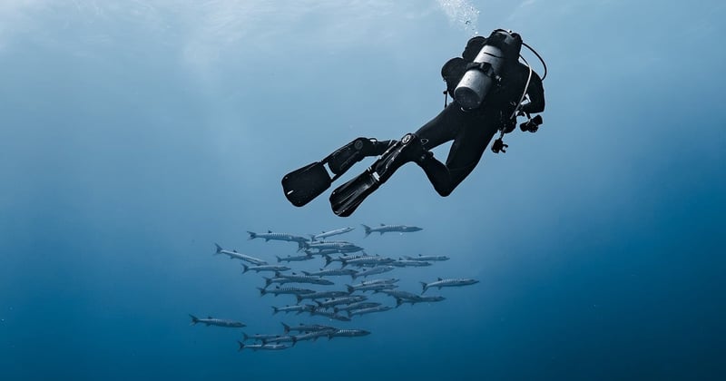 Formation en soudure sous marine : le metier qui paie 3 fois plus