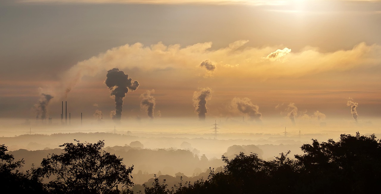 évaluez les effets environnementaux de vos projets grâce à une analyse approfondie. notre service d'évaluation des impacts environnementaux fournit des rapports détaillés pour garantir la durabilité et la conformité de vos activités.