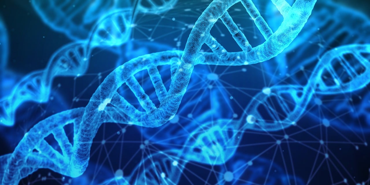 découvrez les dernières innovations qui transforment notre quotidien, des avancées technologiques aux nouvelles idées qui façonnent l'avenir. restez informé sur les tendances et l'impact des innovations dans tous les secteurs.