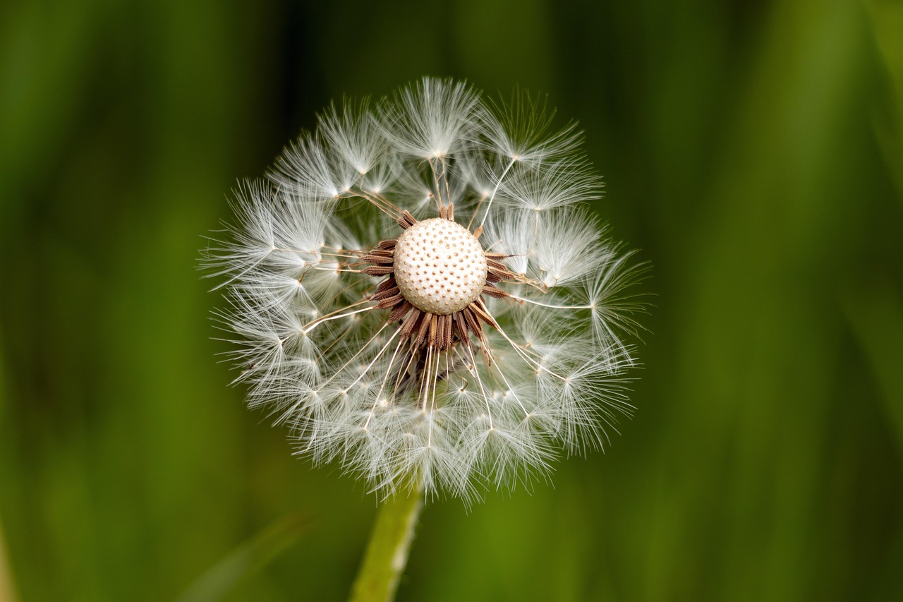 découvrez la résilience, cette capacité à surmonter les épreuves et à rebondir face aux difficultés. conseils, témoignages et ressources pour renforcer votre force intérieure.