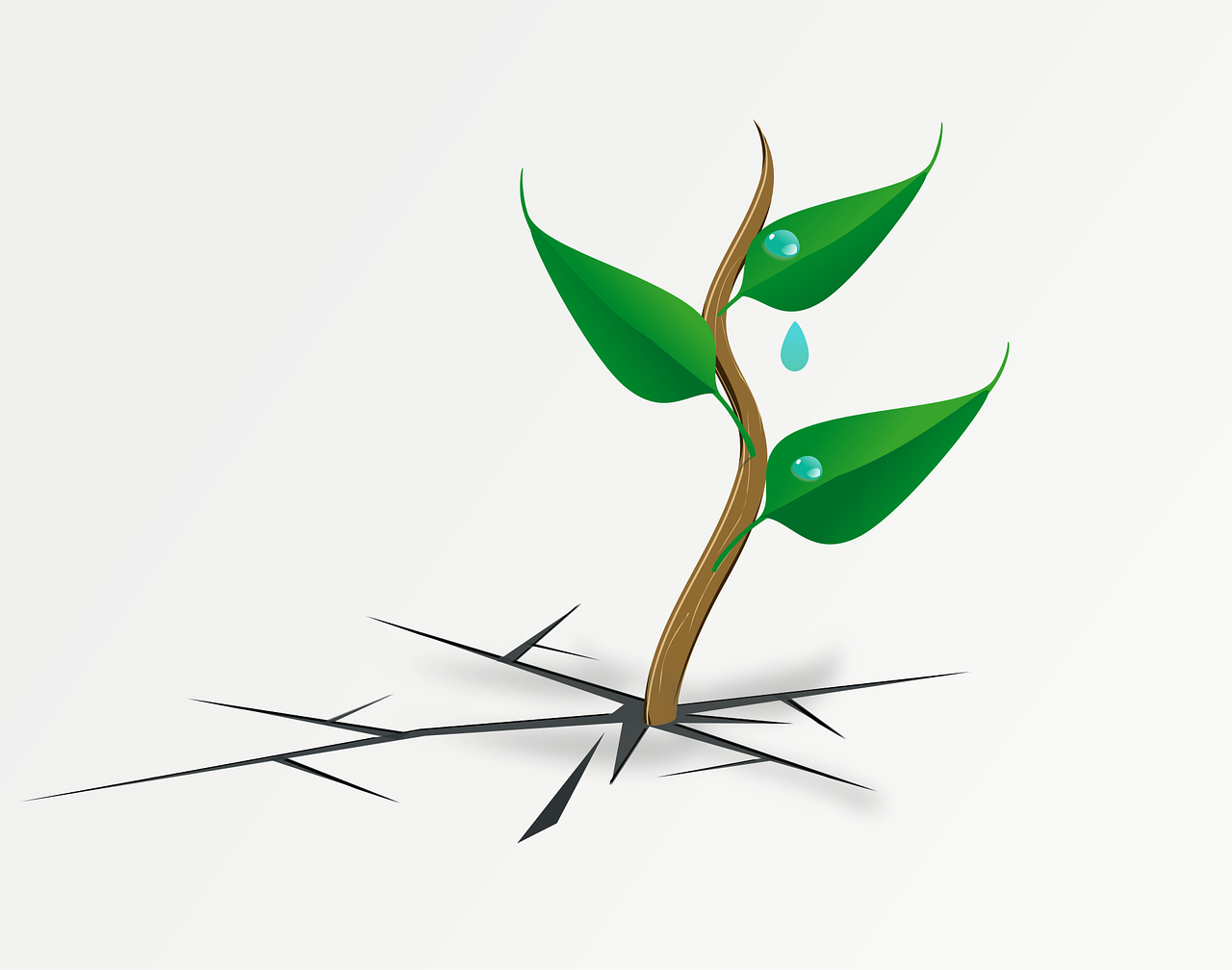 découvrez ce qu'est la résilience, comment surmonter les difficultés et développer votre capacité à rebondir face aux épreuves de la vie. conseils et ressources pour renforcer votre bien-être émotionnel.